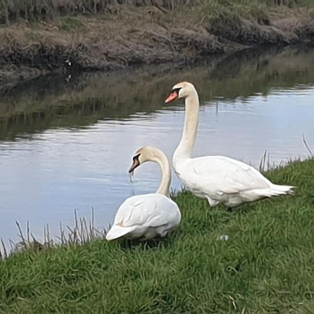 Delightful Cottage On The River Adur Close To Brighton & The Downs No Dogs Sorry Upper Beeding Екстер'єр фото