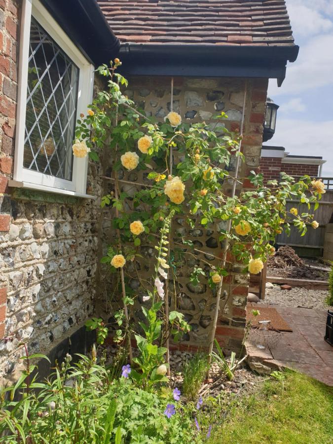 Delightful Cottage On The River Adur Close To Brighton & The Downs No Dogs Sorry Upper Beeding Екстер'єр фото