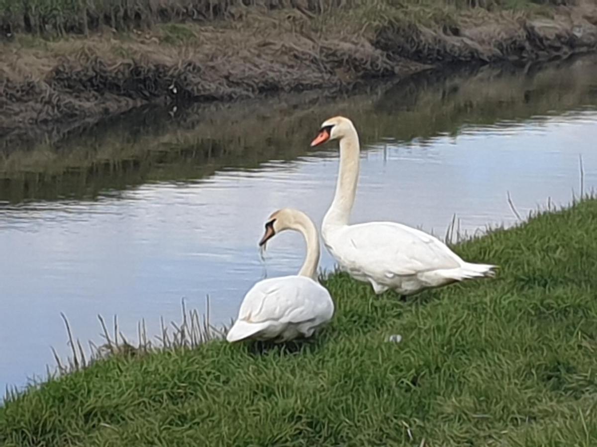 Delightful Cottage On The River Adur Close To Brighton & The Downs No Dogs Sorry Upper Beeding Екстер'єр фото