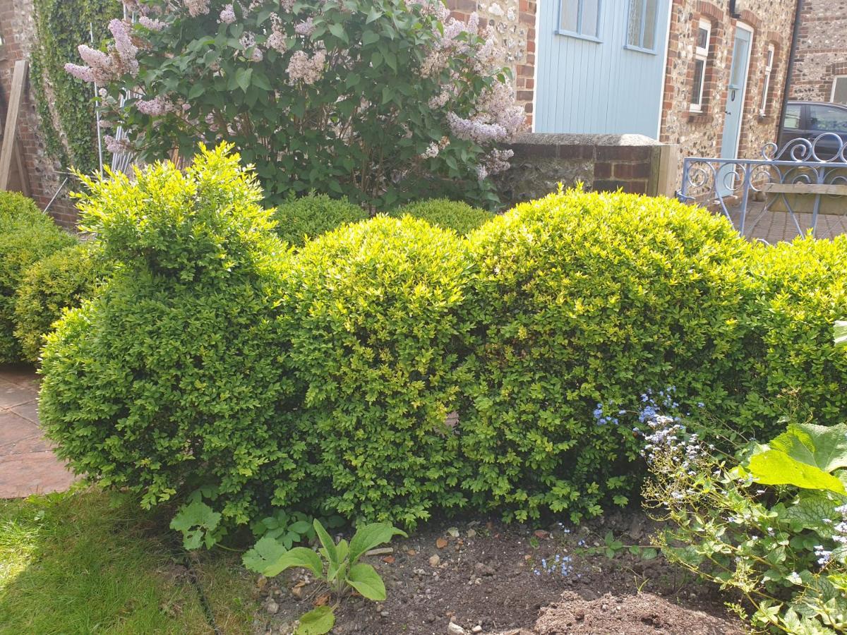 Delightful Cottage On The River Adur Close To Brighton & The Downs No Dogs Sorry Upper Beeding Екстер'єр фото